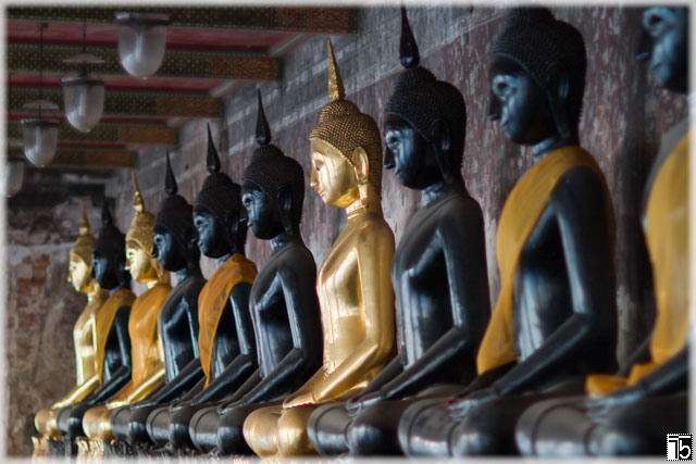 einige der mehr als 150 Buddha-Statuen