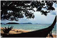 Bilder-Gallerie * Krabi - Foto-Impressionen * Fotos aus Thailand - Inseln & Stände