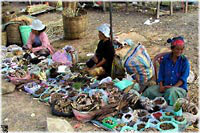 Bilder-Gallerie * Foto-Impressionen aus Chong Mek * Fotos aus Thailand - Isaan (Nord-Ost-Thailand)