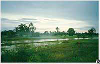 Bilder-Gallerie * Landschaften - Foto-Impressionen * Fotos aus Thailand - Isaan (Nord-Ost-Thailand)