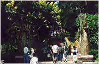 Aufgang zum Wat Doi Suthep